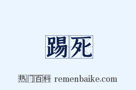 踢死是什么意思的图片